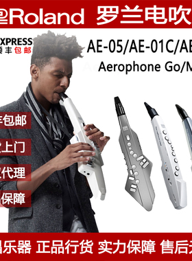 Roland罗兰电吹管电子萨克斯AE-01C AE-01老年人初学管乐民乐
