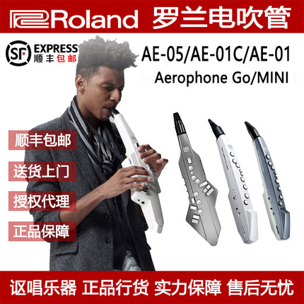 Roland罗兰电吹管电子萨克斯AE-01C AE-01老年人初学管乐民乐