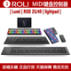 RISE ROLI 49全彩智能交互MIDI键盘lightpad打击板控制器 Lumi