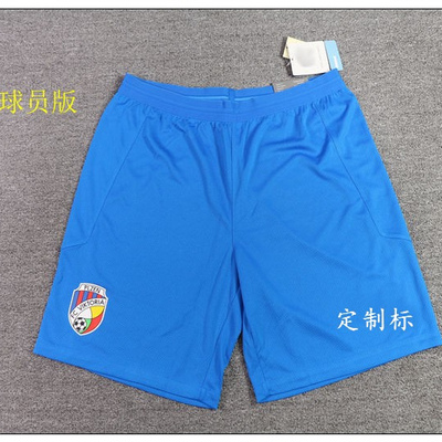 捷克联赛足球 球员版男款训练运动速干短裤   #23069