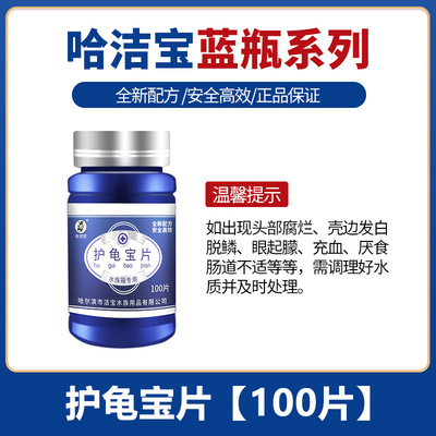 观赏龟护龟宝片白眼腐皮乌龟海龟