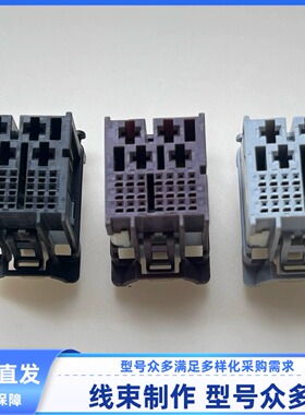 160027- 原装25孔通用汽车 车身控制模块 BCM 车机 音响模块 插头