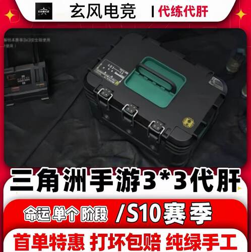 三角洲行动3x3保险箱s10赛季9格保险纯绿代肝全程直播单任务可接