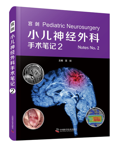 宫剑：小儿神经外科手术笔记2 系统介绍50例典型病例详细剖析 聚焦于儿童颅内肿瘤及各类先天性疾病 小儿神外的第一手临床资料总结