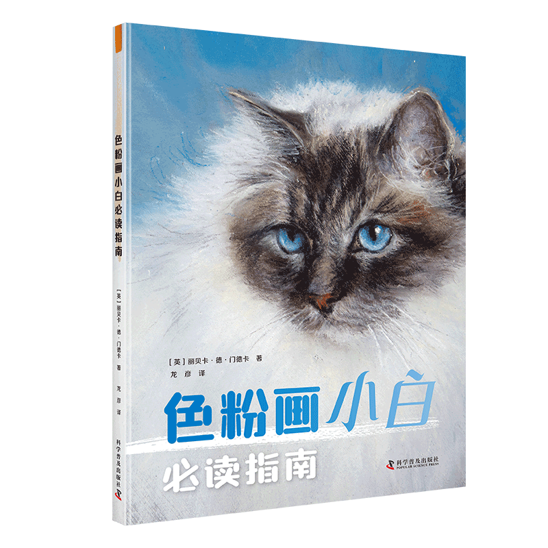 色粉画小白必读指南拿起你的色粉笔,学习如何使用这种令人兴奋的媒介,制作现代、生动和多彩的艺术品吧!
