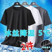 冰丝网孔T恤男薄款 男士 大码 网眼速干休闲短袖 潮牌 运动夏季 2件装