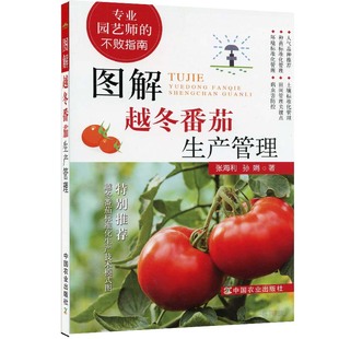 官方正版 种苗标准化田间管理教程 图解越冬番茄生产管理 番茄西红柿生态化种植栽培技术实用手册 大棚绿色蔬菜病害防治 张海利