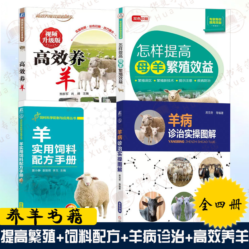 养羊书籍全4册 羊实用饲料配方手册+羊病诊治实操图解+高 效养羊+怎样提高母羊繁殖效益 科学养羊养羊技术养殖书养羊技术大全