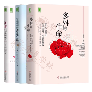 乔卡巴金正念减压书籍全3册 正念此刻是一枝花+穿越抑郁的正念之道+多舛的生命正念疗愈帮你抚平压力疼痛和创伤 改善情绪正念疗法