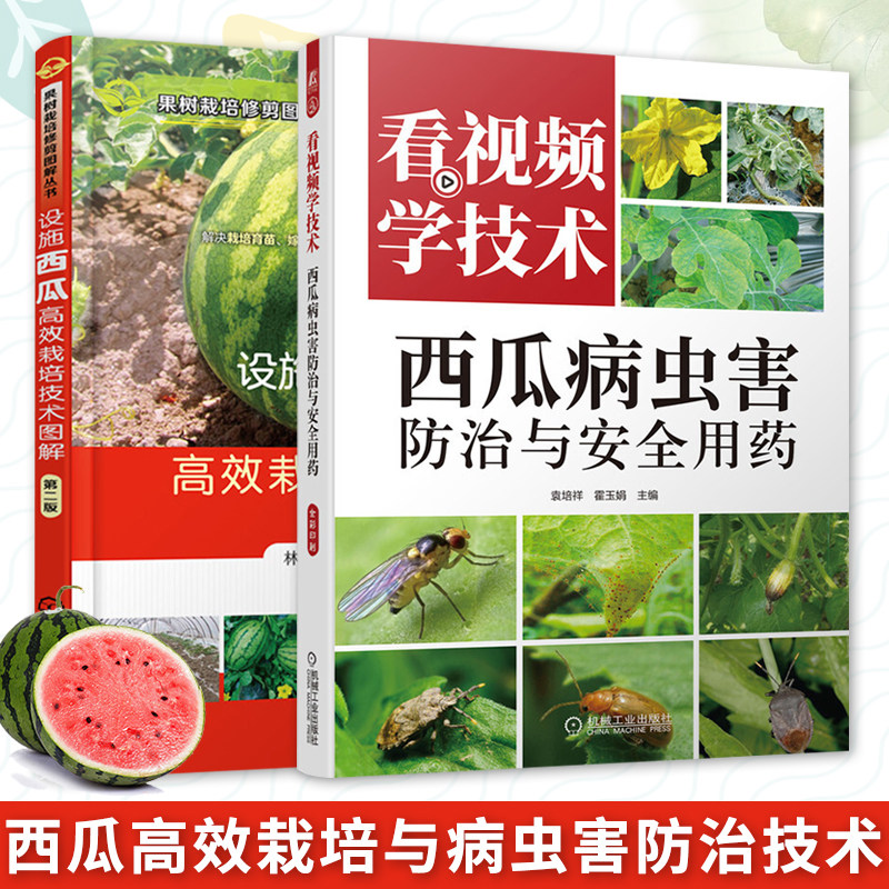 西瓜种植技术全两册全彩图解 设施西瓜高效栽培技术图解 第二版+看视频学技术 西瓜病虫害防治与安全用药 西瓜种植书虫害防治