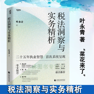 税法洞察与实务精析 叶永青 著 菜花来了团队 二十五年执业智慧,首次系统呈现 税法民法公司法金融法等 中国财政经济出版社