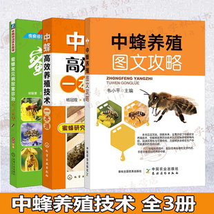 3册 中蜂养殖图文攻略 +中蜂高效养殖技术一本通+蜜蜂常见病敌害诊治原色图谱 配图蜂饲养新技术病虫害防治一本通蜂养殖技术大全