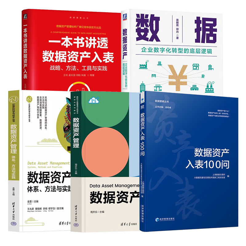 5册 数据资产入表100问+一本书讲透数据资产入表 战略方法工具+数据资产管理+体系方法与实践+数据资产 企业数字化转型的底层逻辑