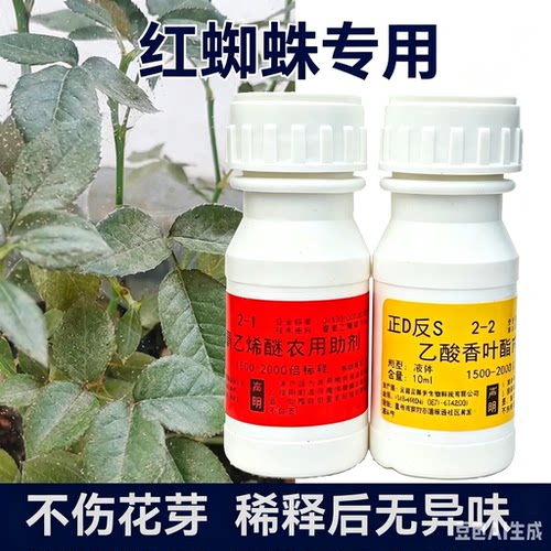 红蜘蛛二斑叶螨园艺助剂