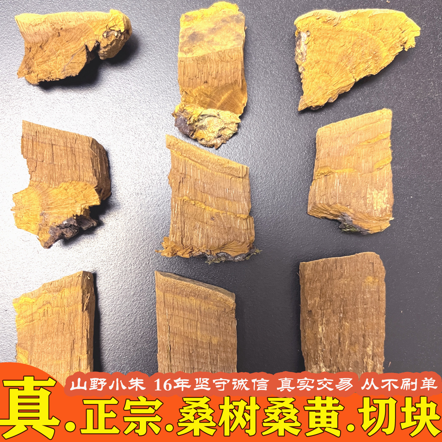 野生桑树桑黄切块 山野小朱 正宗秦岭大巴山西藏桑树桑黄灵芝切片