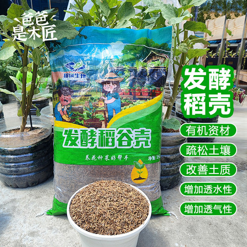 发酵腐熟稻谷壳种菜改良疏松土壤