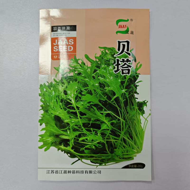 贝塔快菜型羽衣甘蓝种子20g江苏农科院家庭蔬菜种籽 爸爸是木匠,鲜花速递/花卉仿真/绿植园艺,家庭园艺种子,淘宝优惠券,粉丝福利购,淘宝优惠卷