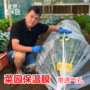 菜园保温膜带孔小拱棚家用种菜暖棚室外花棚蔬菜冬季保暖塑料防冻