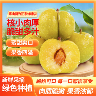 乐山犍为蜂糖李新鲜脆甜要暂时下架了还需要的量多的的可以私信我
