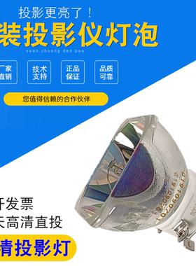 适用INASK英士X6600 HU600 HW500 HU500 HW600 HW505 HX505 IN500X HX553 HU600S HU505 HX555原装投影仪灯泡