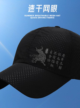 帽子男款夏季遮阳帽中老年人爸爸透气网帽棒球帽速干防晒帽鸭舌帽