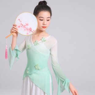 女童古典舞演出服儿童中国舞民族舞练功服身韵服飘逸纱衣表演服