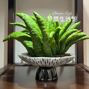 佛手柑托盘器皿养花观赏花盆摆件香橼花器摆放盘容器中式复古花瓶