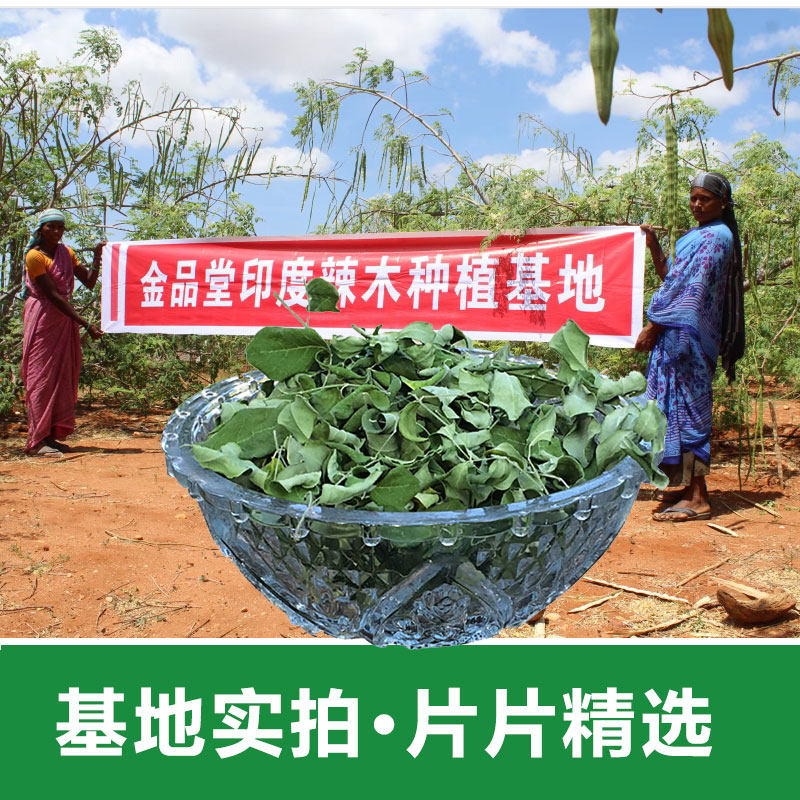 辣木叶500克包邮 辣木干叶片自然晾晒辣木叶茶云南野生辣木籽叶茶