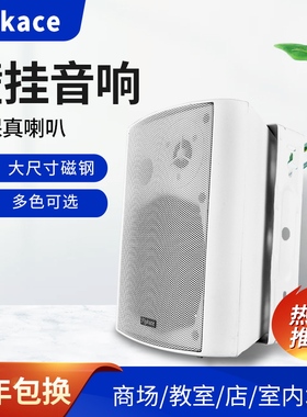 FT-104壁挂音箱挂壁喇叭教室广播系统超市餐厅店铺背景音乐音响