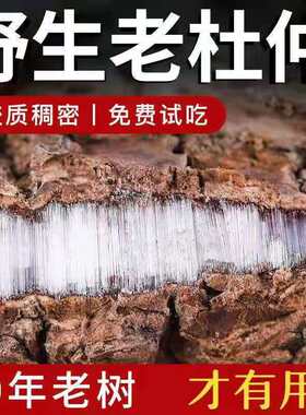 中药材500g克包邮杜仲皮四川