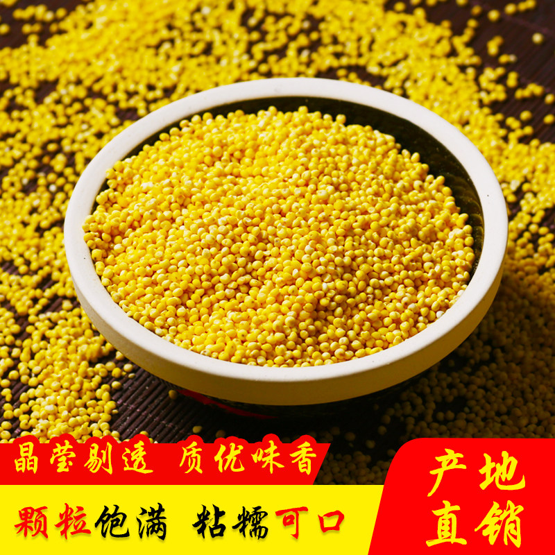 黑黍米图片,种植,出售(第5页)_大山谷图库