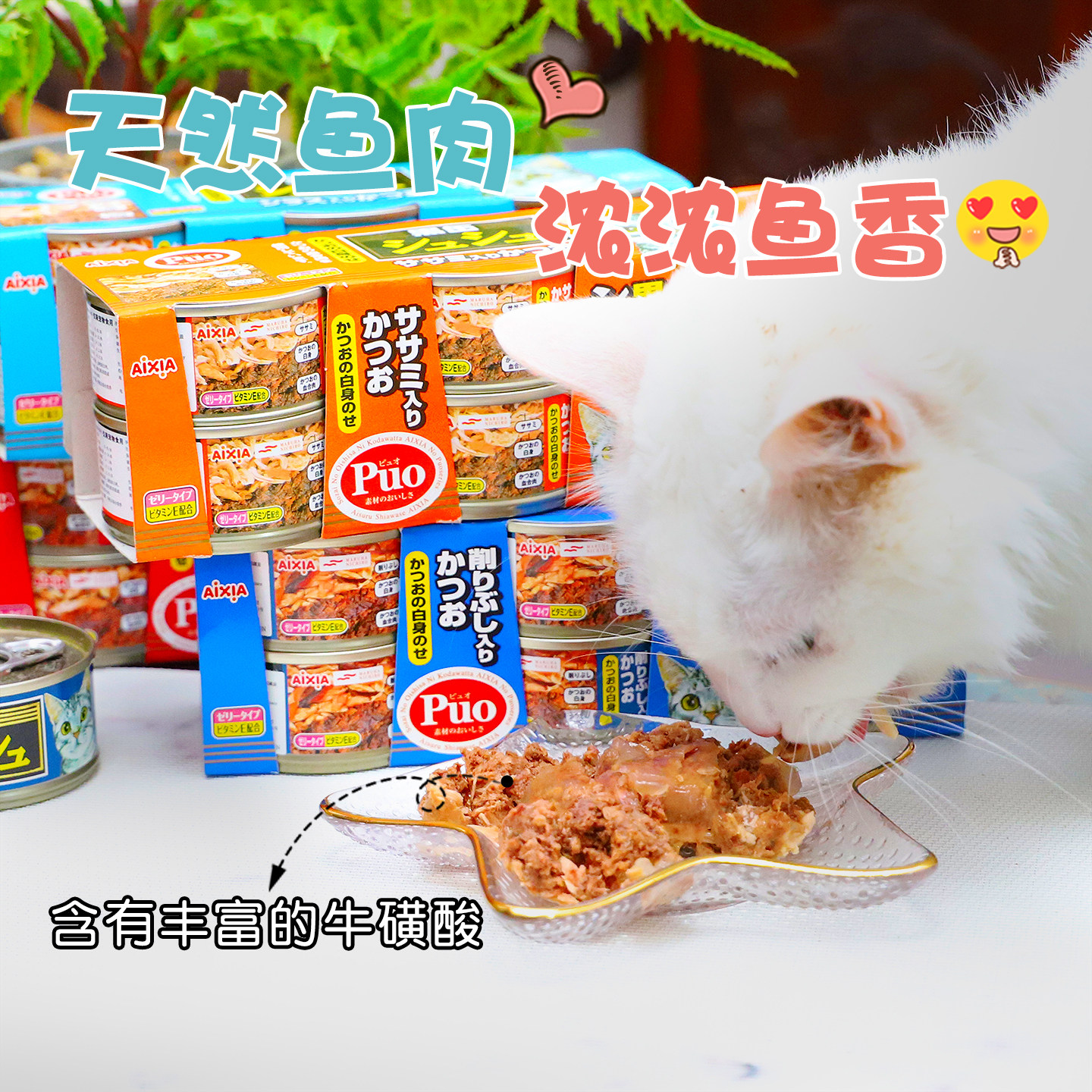 【雌毛球】爱喜雅AIXIA玛鲁哈黑缶黑罐咻咻金枪鱼鲔鱼猫零食 80g