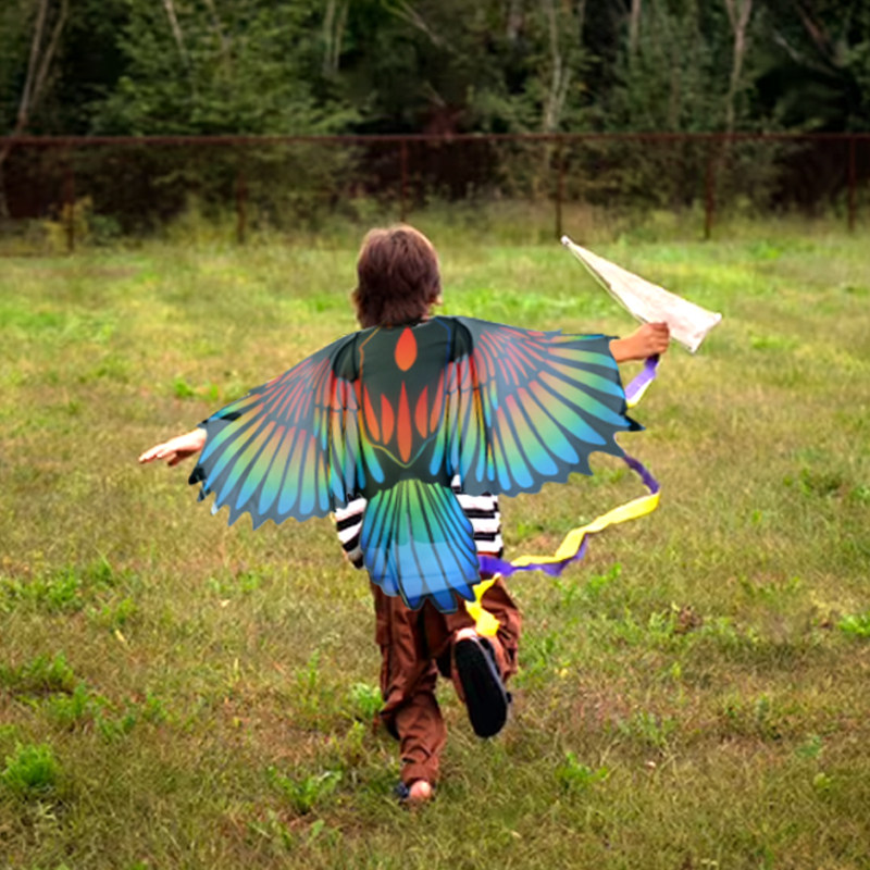 儿童小鸟翅膀头套装扮羽毛图案老鹰演出服舞台道具轻便防晒六一节