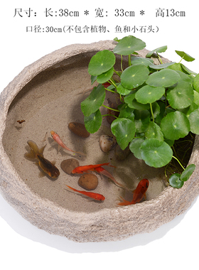 特价粗陶水仙花碗莲铜钱草仿石头陶瓷大花盆无孔水培容器小金鱼缸
