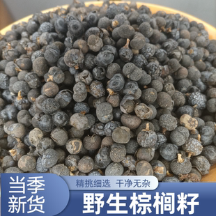 野生棕榈籽中药材棕榈籽金佛草菩提手串文玩24年新采