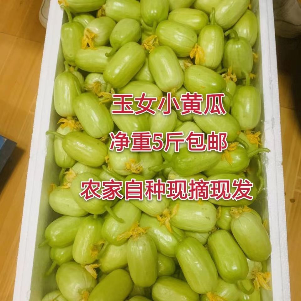 山东玉女水果黄瓜新鲜拇指水果黄瓜生吃小青瓜应季蔬菜特产包邮