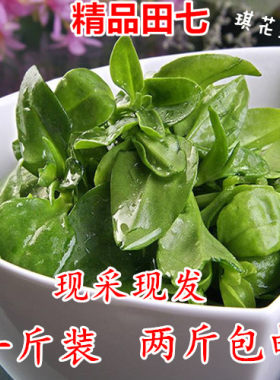 田七叶新鲜现摘蔬菜鲜嫩三七叶子穿心莲牡丹吊兰