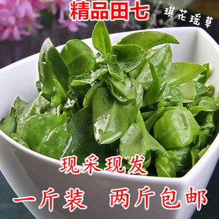 田七叶新鲜现摘蔬菜鲜嫩三七叶子穿心莲牡丹吊兰