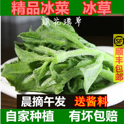 顺丰新鲜现摘非洲冰草冰菜冰叶冰花蔬菜沙拉火锅即食生吃凉拌包邮