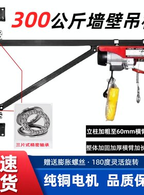 300公斤墙壁支架小型家用吊机
