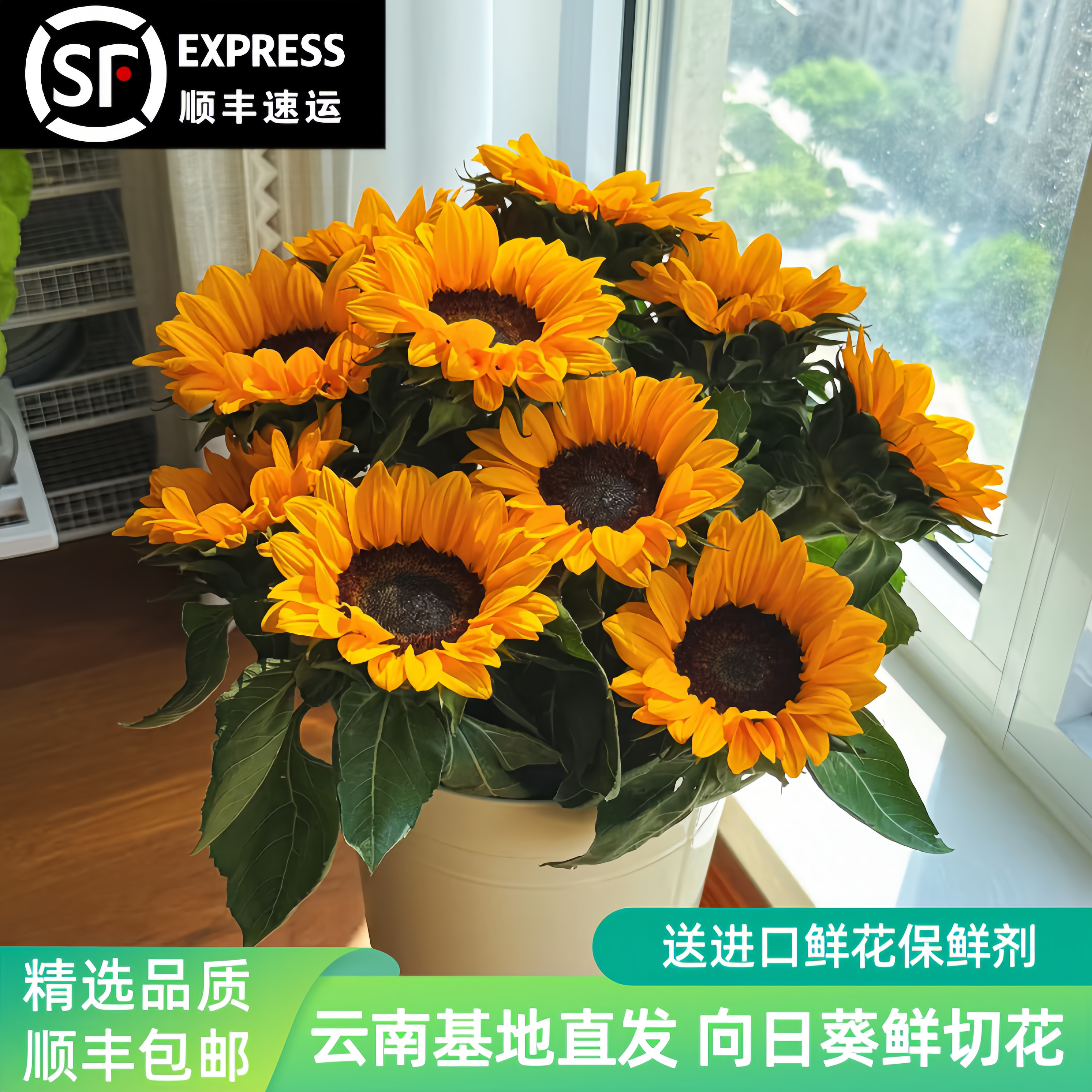 向日葵鲜花花束云南基地直发太阳向日葵鲜切花