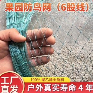 果园防鸟网尼龙网鱼塘网果树网大棚网养殖网养鸡网爬藤网