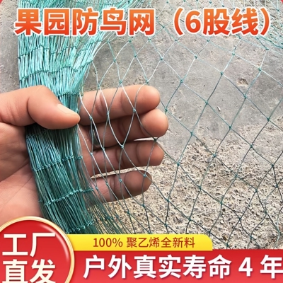 果园防鸟网尼龙网鱼塘网果树网大棚网养殖网养鸡网爬藤网
