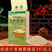 内蒙古阴山优麦全胚芽裸燕麦米去壳去皮生燕麦胚芽米新燕麦米仁粒