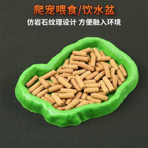 绿色半水龟喂食饮水塑料小盆