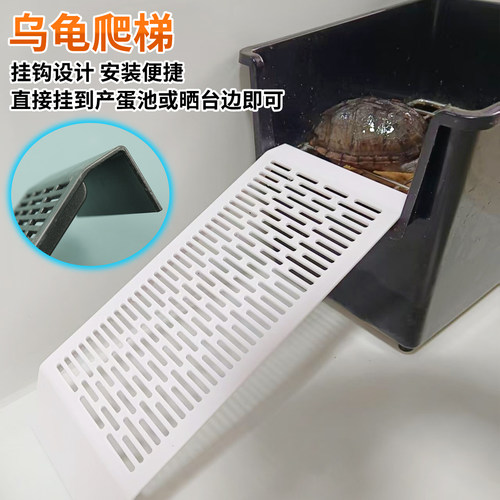 乌龟产蛋池爬坡蛋龟爬坡