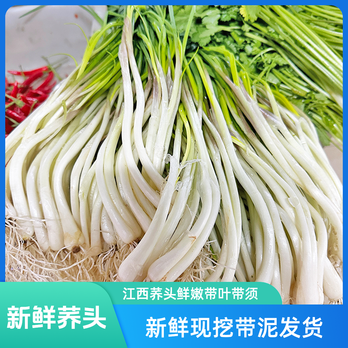 江西农家茭头新鲜现挖带叶带须荞头自种当季新鲜荞头叫头应季蔬菜,水产肉类/新鲜蔬果/熟食,其它,淘宝优惠券,粉丝福利购,淘宝优惠卷