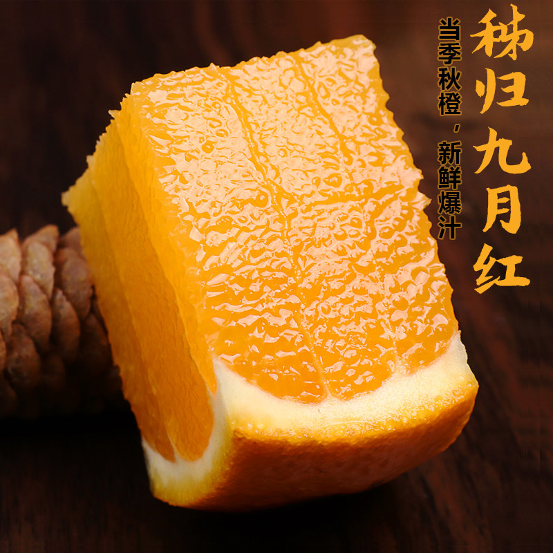 湖北秭归九月红果冻橙现摘新鲜甜橙子孕妇当季水果带箱10斤手剥橙
