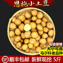 顺丰2020恩施农家自种新鲜小土豆高山富硒黄心洋芋迷你马铃薯5斤