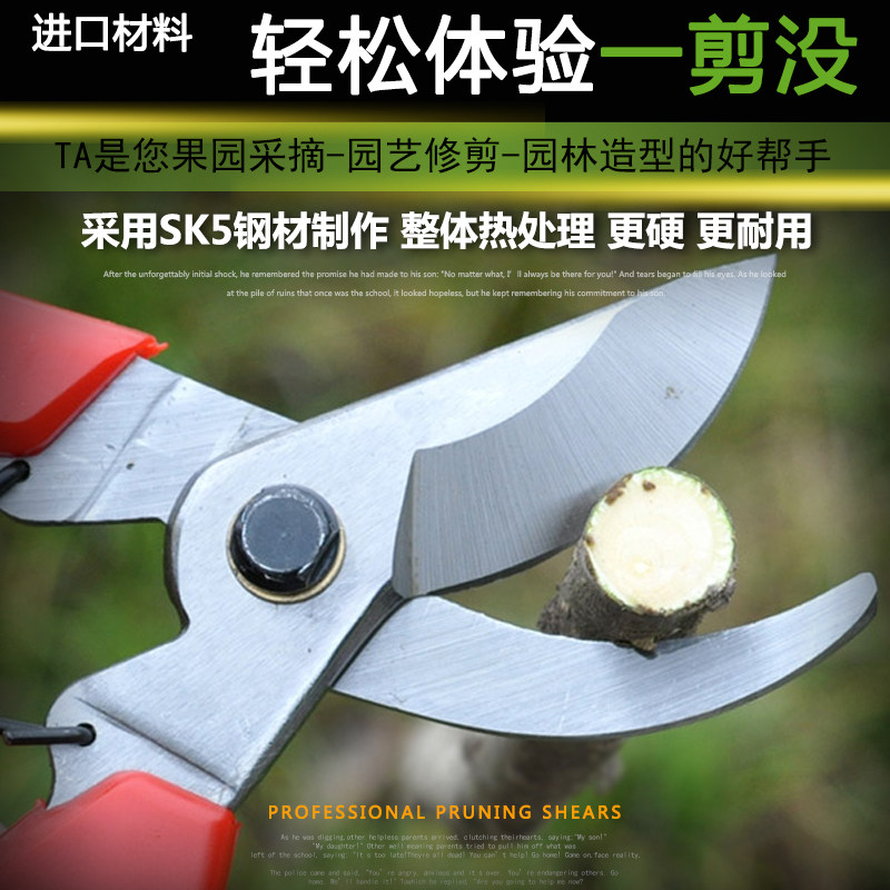 园林果树剪刀粗枝花剪修枝剪刀修花剪树枝剪果树剪子省力园艺剪刀